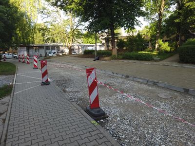 fot. Damian Daraż