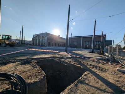 fot. Jan  Augustynowski