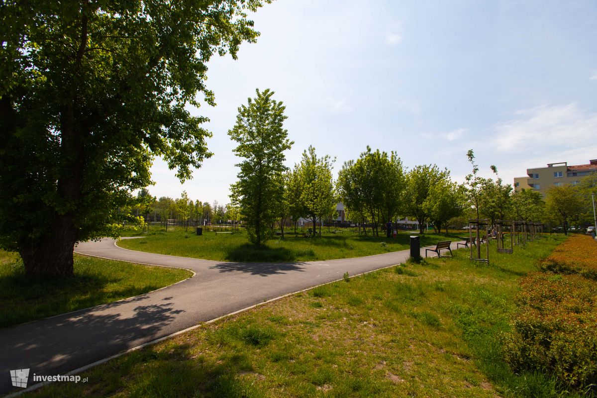 Zdjęcie [Wrocław] Park na Gaju fot. Jakub Zazula 