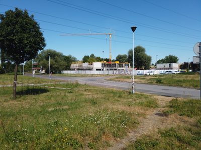 fot. Damian Daraż