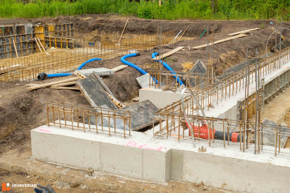 Zdjęcie Strawińskiego fot. PROFIT Development