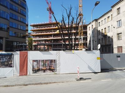 fot. Damian Daraż