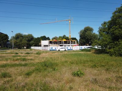 fot. Damian Daraż