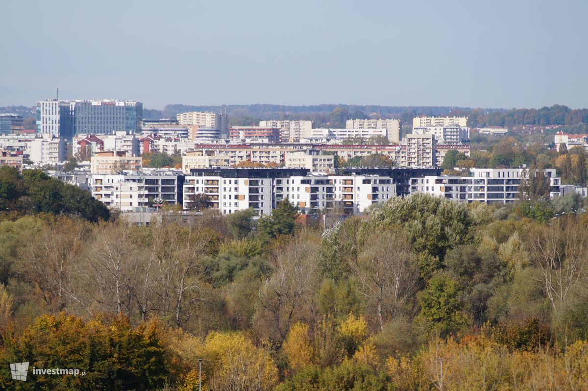 Zdjęcie Dąbska Street fot. Damian Daraż 