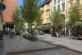 Ulica Ruska w centrum Wrocławia przejdzie wielką metamorfozę. Tak wypięknieje! [WIZUALIZACJE]