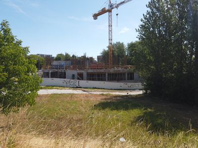 fot. Damian Daraż