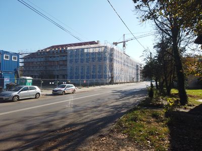 fot. Damian Daraż