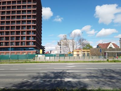 fot. Damian Daraż