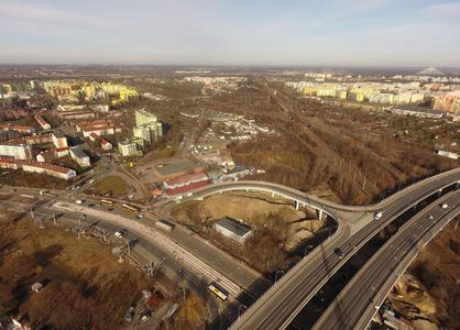 fot. Orzech