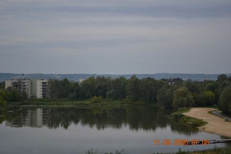 Damian Daraż