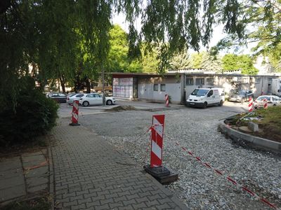 fot. Damian Daraż