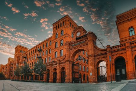 fot. Orzech