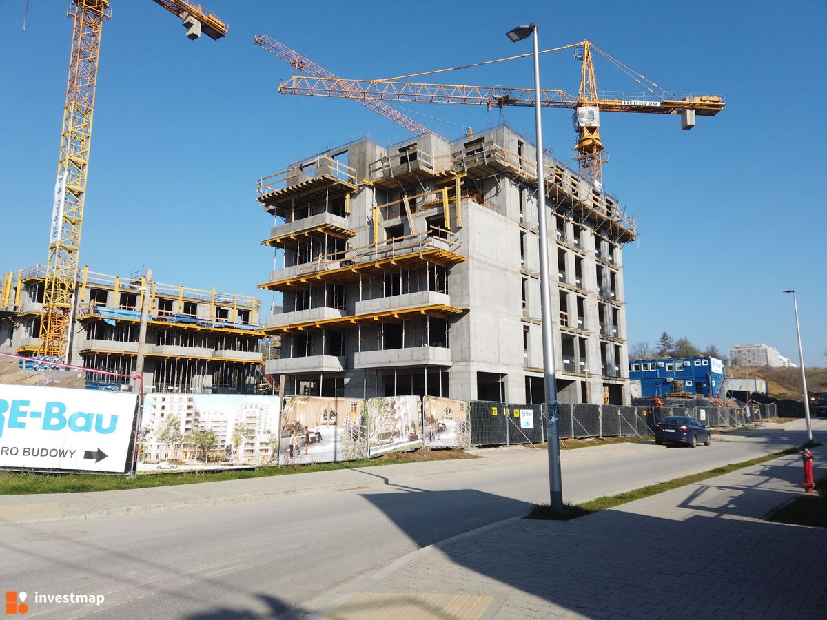 Zdjęcie Banacha 12 fot. Damian Daraż 