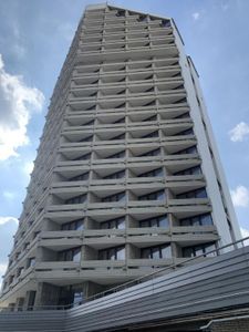 Orzech