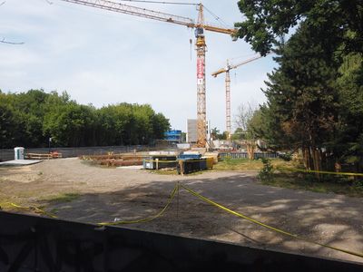 fot. Damian Daraż