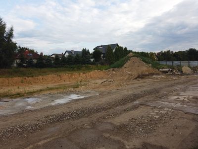fot. Damian Daraż