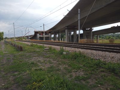 fot. Damian Daraż
