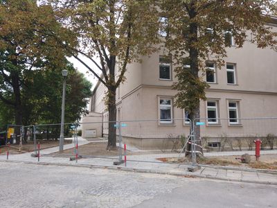 fot. Damian Daraż