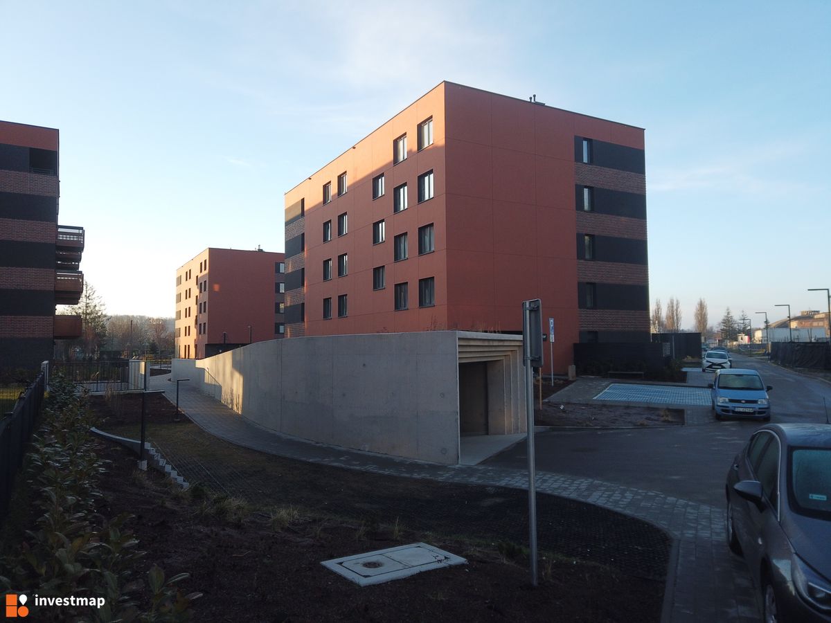 Zdjęcie Strefa Cegielnia fot. Damian Daraż 