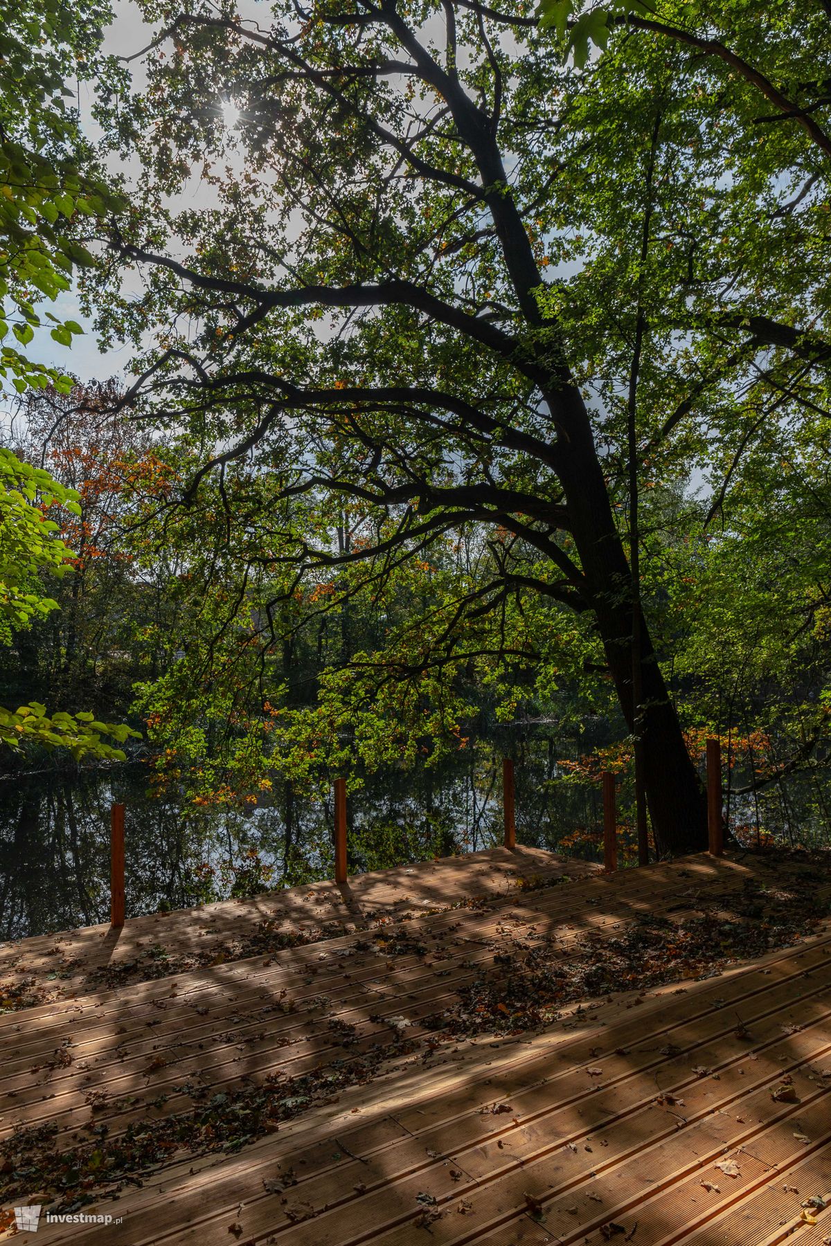 Zdjęcie Swojczycki Park "Czarna Woda" fot. Jakub Zazula 