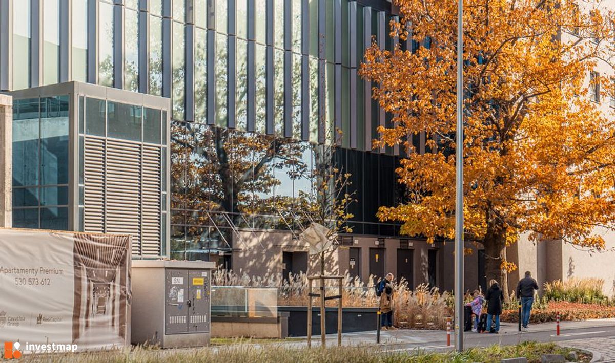 Zdjęcie Quorum fot. Orzech 