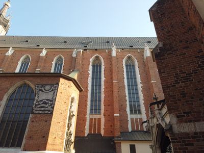 fot. Damian Daraż