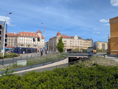fot. Jakub Zazula