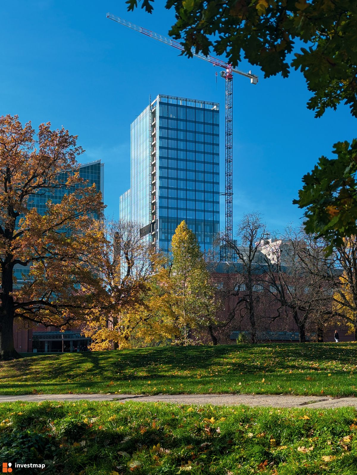 Zdjęcie AND2 (Andersia Silver) fot. Jakub Zazula 