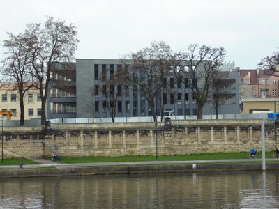 fot. Damian Daraż