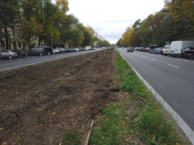 fot. Damian Daraż