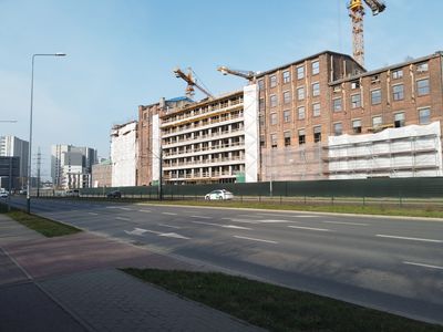 fot. Damian Daraż