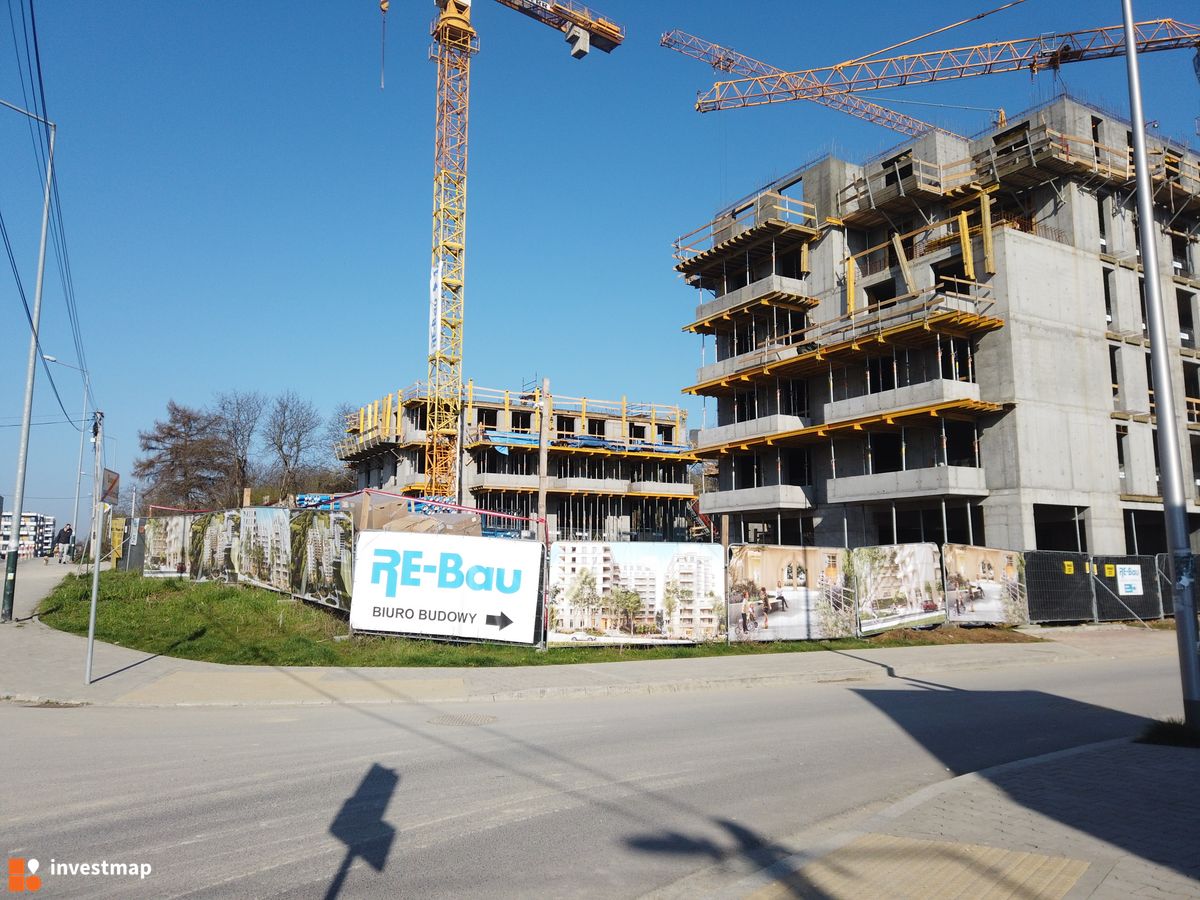 Zdjęcie Banacha 12 fot. Damian Daraż 