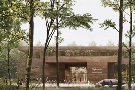 Na Podlasiu powstanie "Xylopolis" – Centrum Sztuki i Nauki o Drewnie [WIZUALIZACJE]