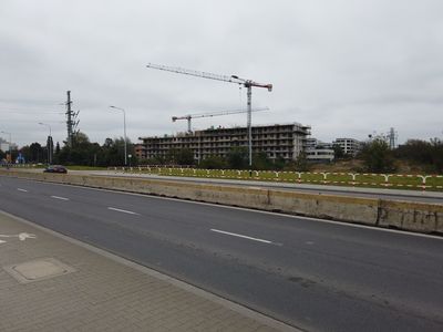 fot. Damian Daraż