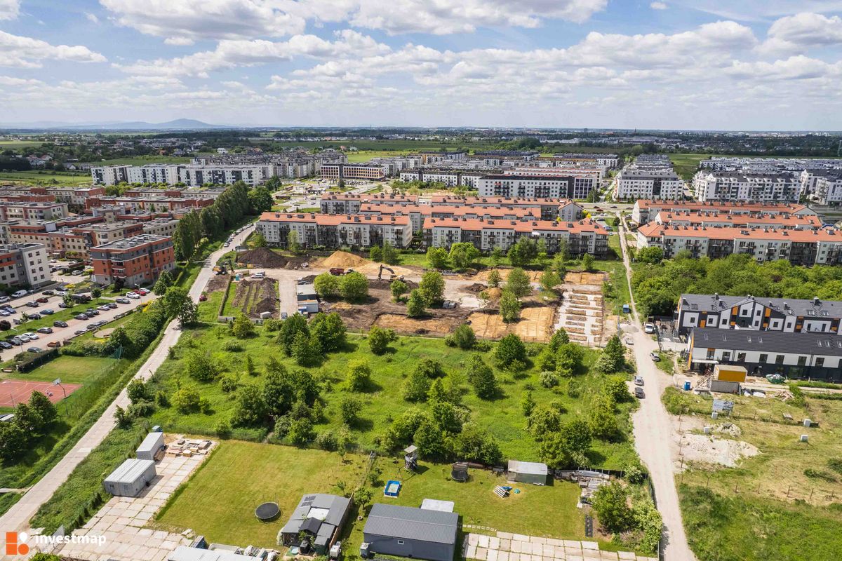 Zdjęcie Strawińskiego fot. PROFIT Development