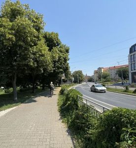Orzech