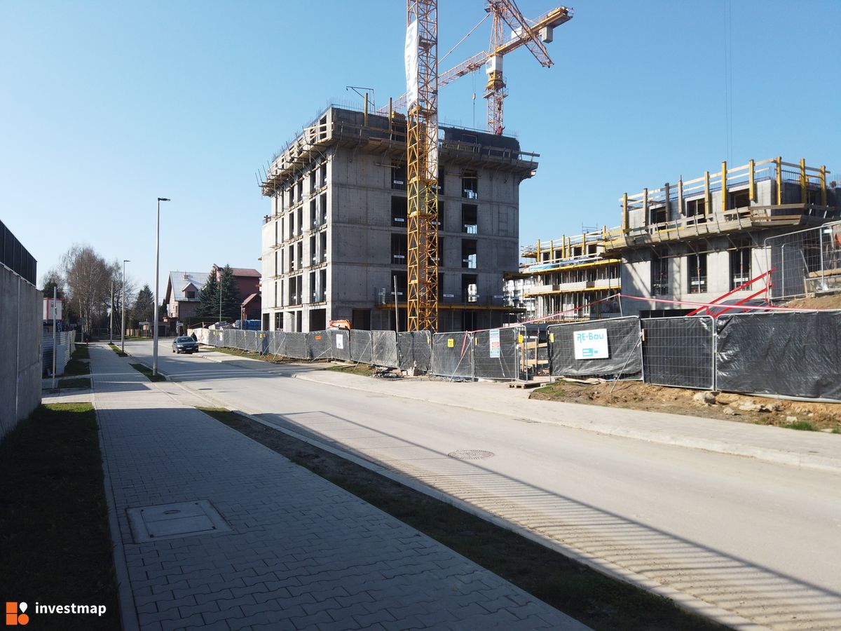 Zdjęcie Banacha 12 fot. Damian Daraż 