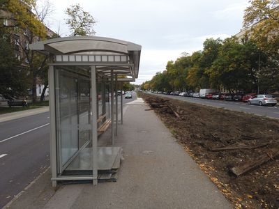 fot. Damian Daraż