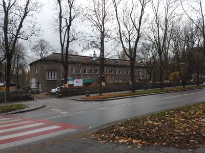 fot. Damian Daraż