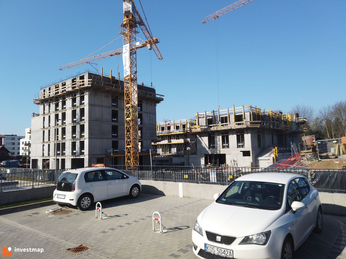 Zdjęcie Banacha 12 fot. Damian Daraż 