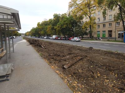 fot. Damian Daraż
