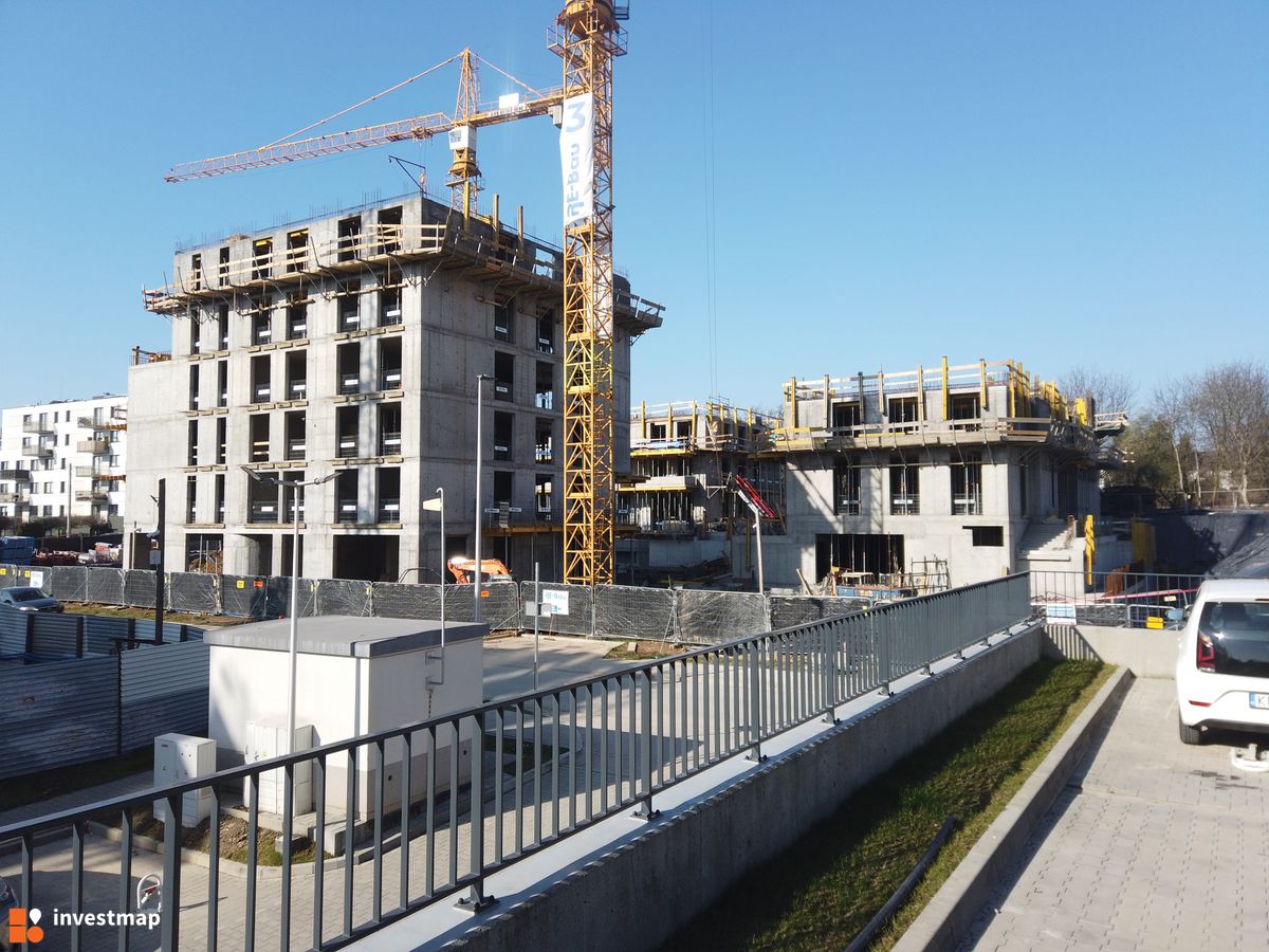 Zdjęcie Banacha 12 fot. Damian Daraż 