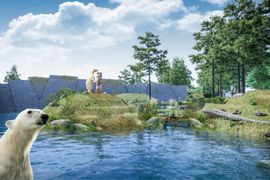 Warszawskie ZOO: Powstaje projekt nowego wybiegu dla niedźwiedzi polarnych [WIZUALIZACJE]