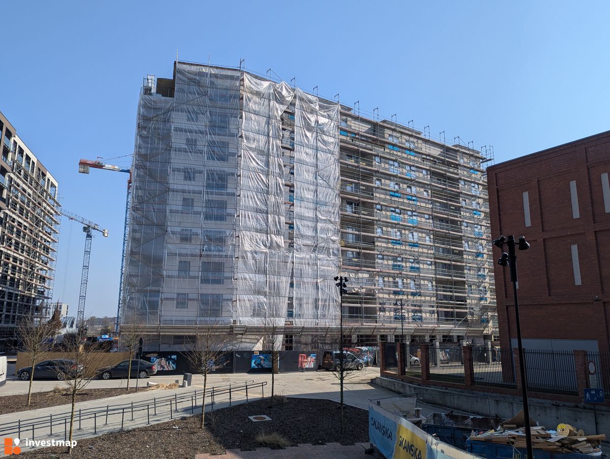 Zdjęcie Flow fot. Jakub Zazula 