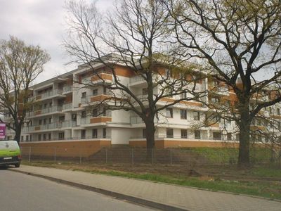 fot. Orzech