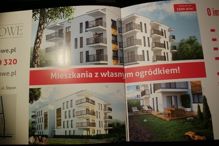 fot. Damian Daraż