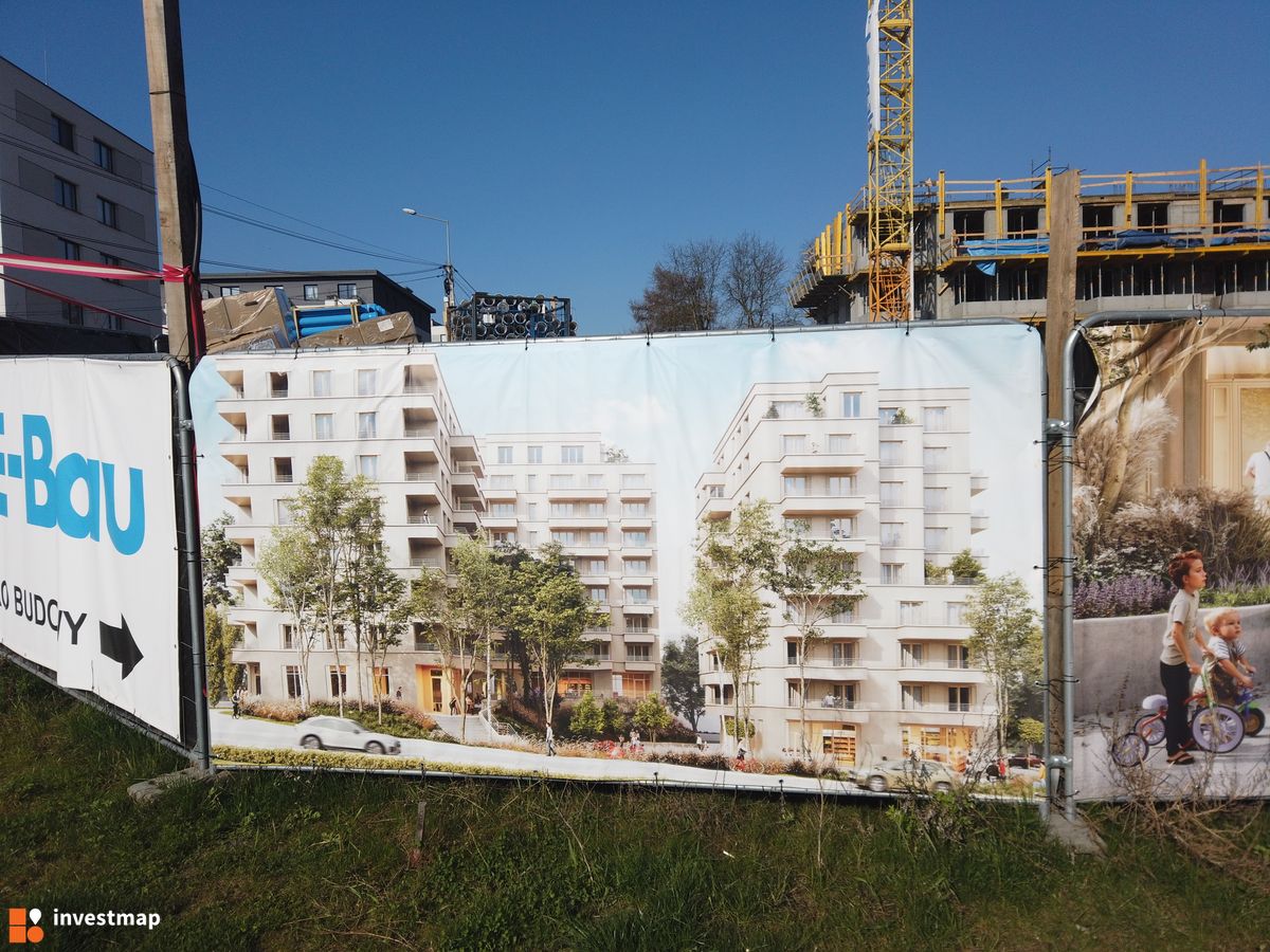 Zdjęcie Banacha 12 fot. Damian Daraż 