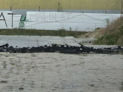 fot. Jan  Augustynowski