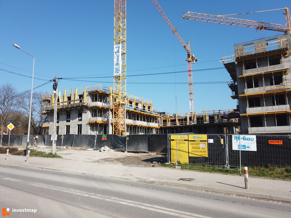 Zdjęcie Banacha 12 fot. Damian Daraż 