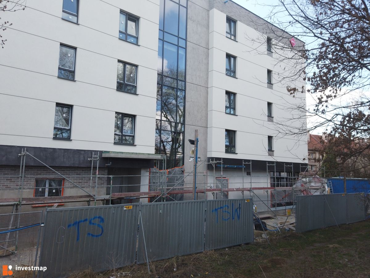 Zdjęcie Akacjowa Wita fot. Damian Daraż 